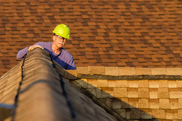 Best Roof Gutter Cleaning  in White Hall, AR